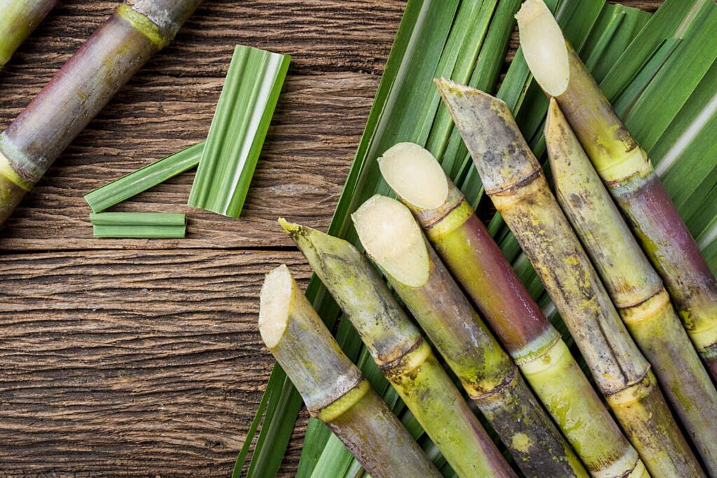 benefits of sugarcane juice